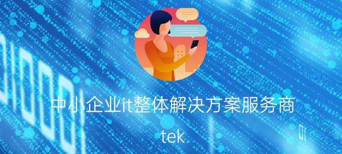 中小企业it整体解决方案服务商 tek system是500强么？